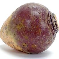 See the rutabaga that took the first steps on the moon!